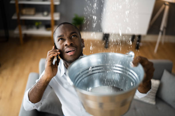 Best Water damage restoration company  in Broadview, IL