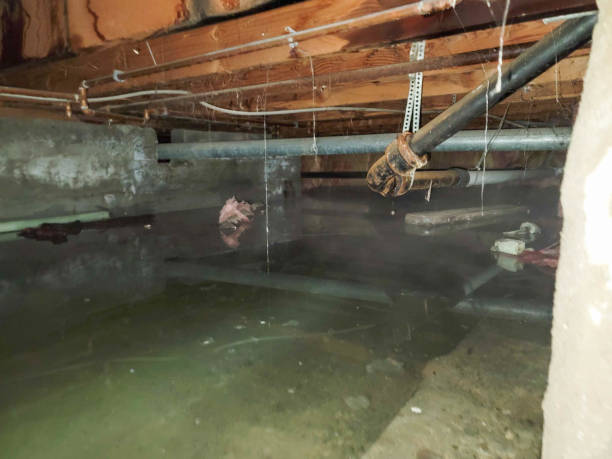 Best Fire Damage Restoration  in Broadview, IL