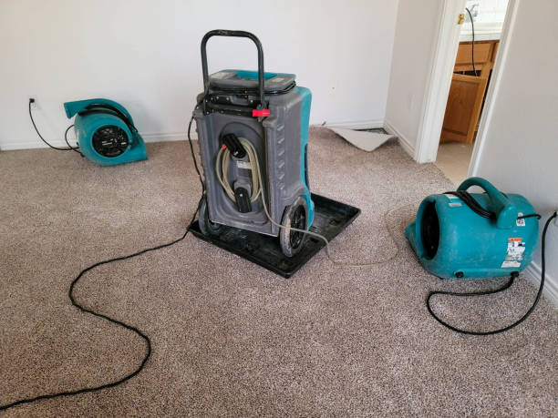 Best Water damage contractors near me  in Broadview, IL