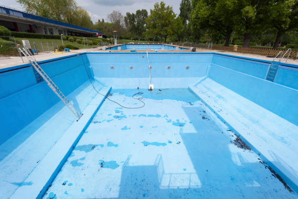 Best Water damage cleanup near me  in Broadview, IL