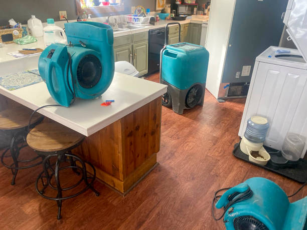 Best Commercial water damage restoration  in Broadview, IL