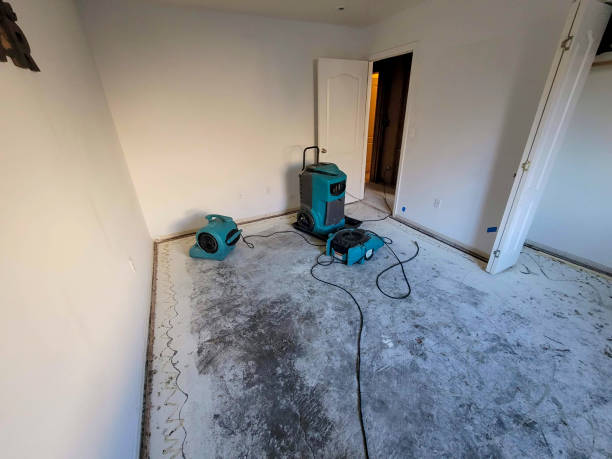 Best Local water damage restoration  in Broadview, IL