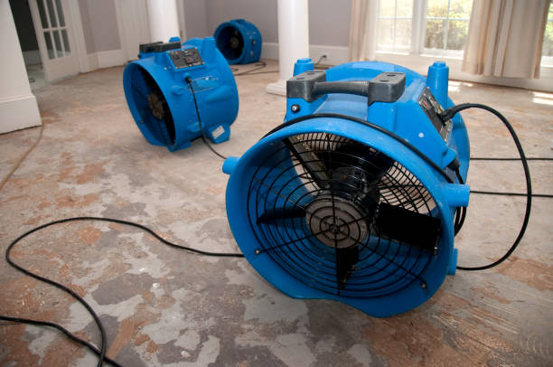 Best Fire Damage Restoration  in Broadview, IL