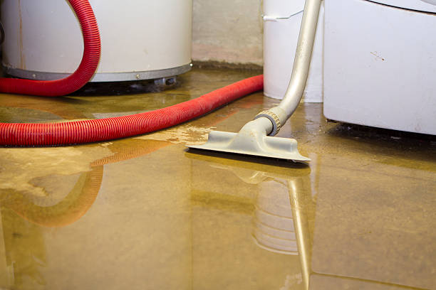 Best Fire Damage Restoration  in Broadview, IL